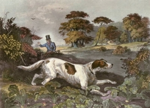 F159 - October (Dog)